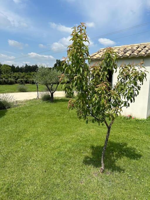 Villa Des Jacinthes タラスコン エクステリア 写真